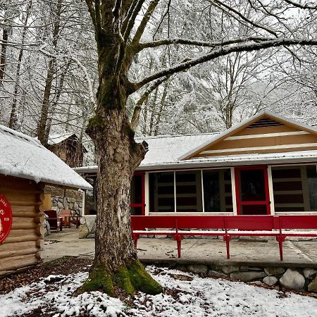 Beary Relaxing Cabin - Rustic With Outdoor Patio Seri Kembangan Exterior foto